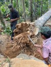 🌿 Trầm Hương Tiên Phước, Quảng Nam – Tinh Hoa Đất Trời, Tinh Xảo Bàn Tay Việt