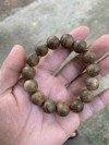 ( ĐÃ BÁN) Mắt nhãn rừng