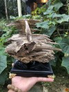 ĐÃ BÁN Trầm cảnh kiến