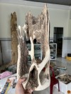 ĐÃ BÁN- TRẦM CẢNH- TƯỜNG KHÊ HÒA ÃN KHÍ