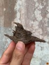 ĐÃ BÁN- SIÊU PHẨM- MẮT ĐẢO CHÌM RỪNG