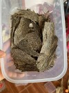 ĐÃ BÁN- BÌ KẸP RỄ CHÌM (KHẢ NĂNG CÒN HÀNG)
