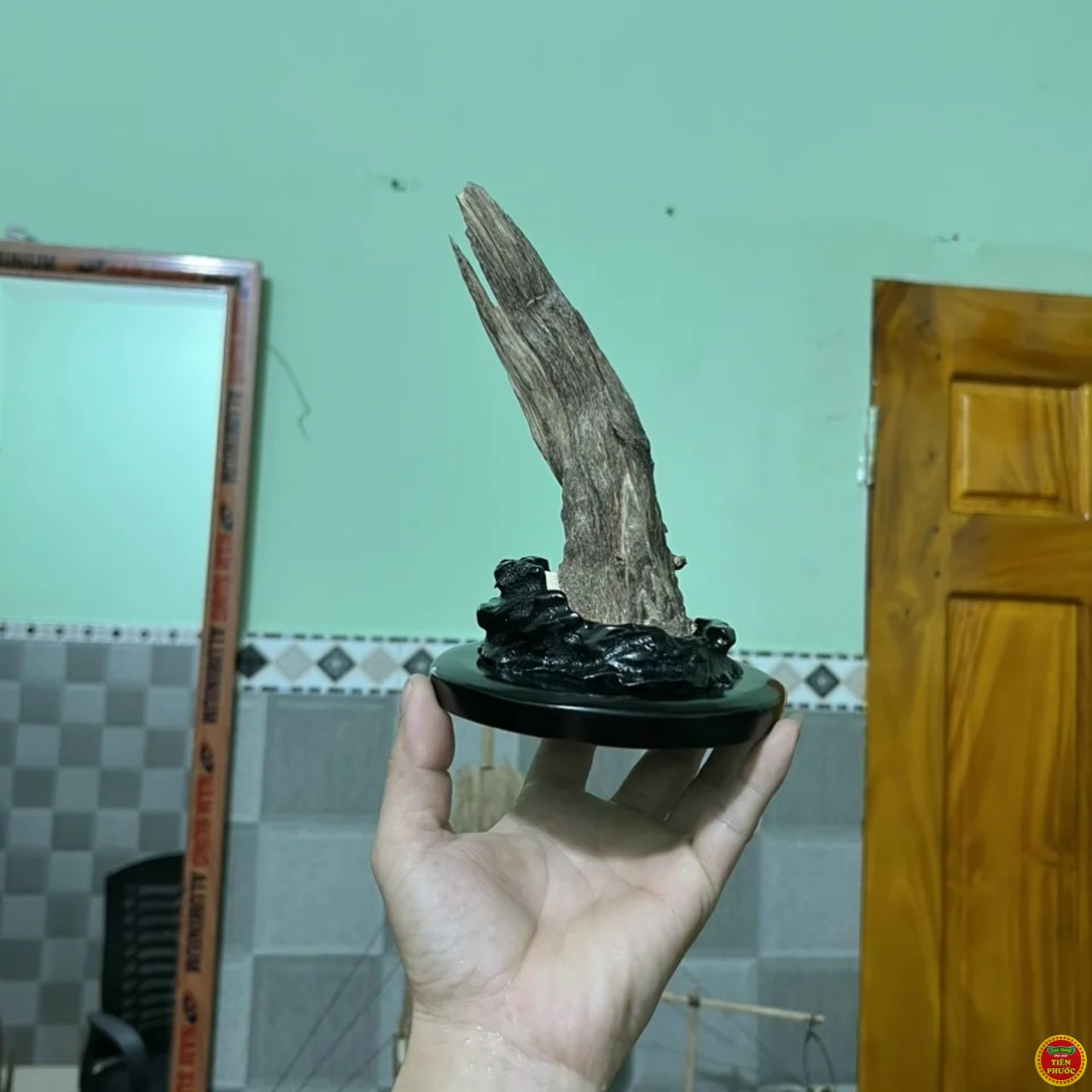 6554