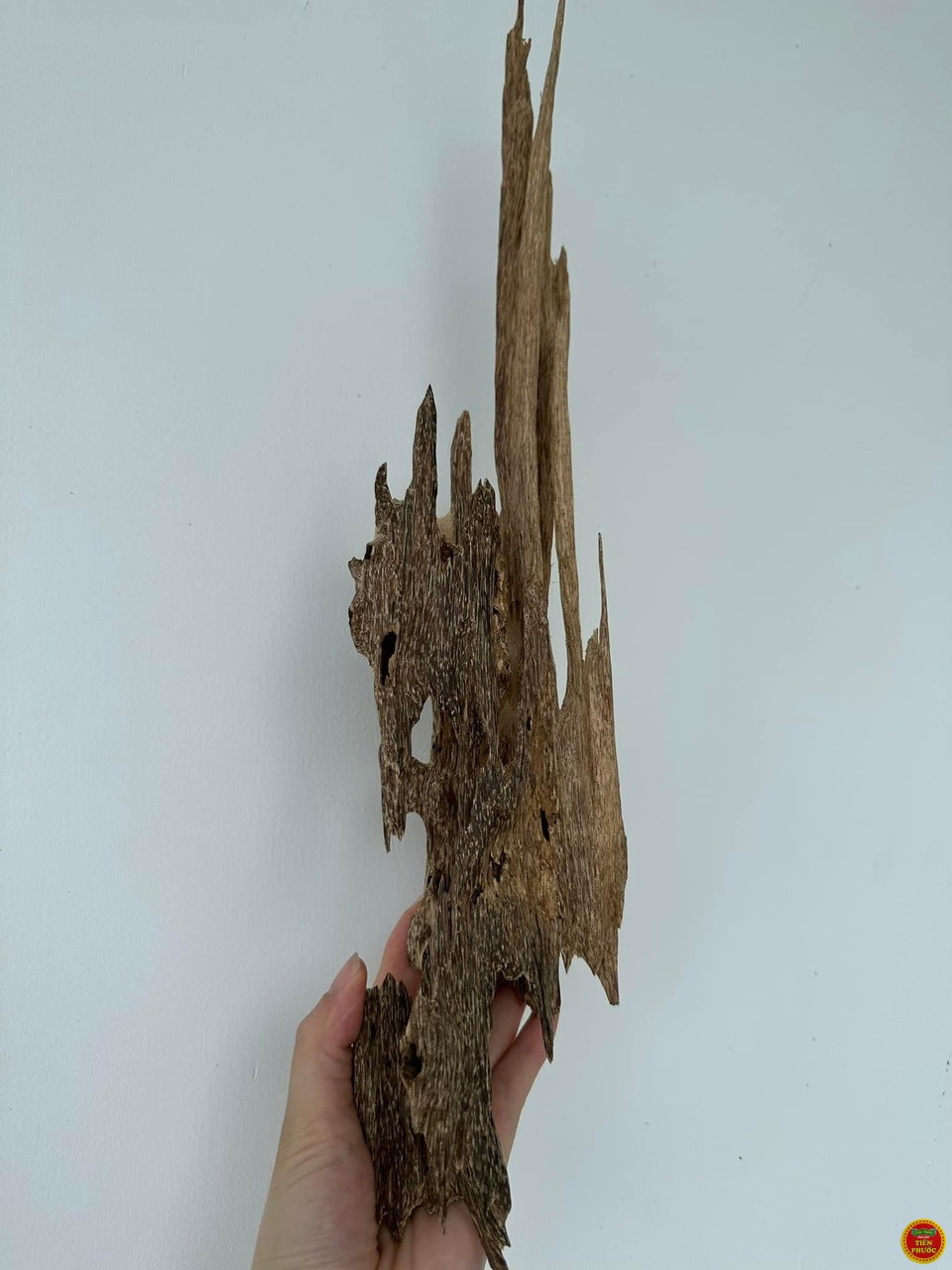 Trầm cảnh kiến 2