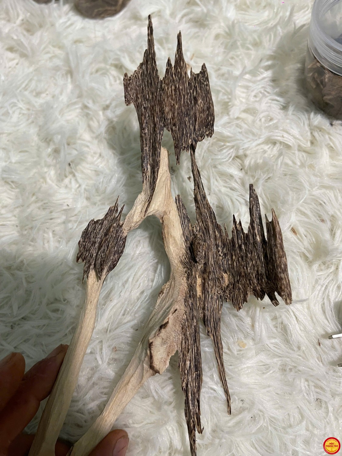 ĐÃ BÁN- LŨA TRẦM CẢNH