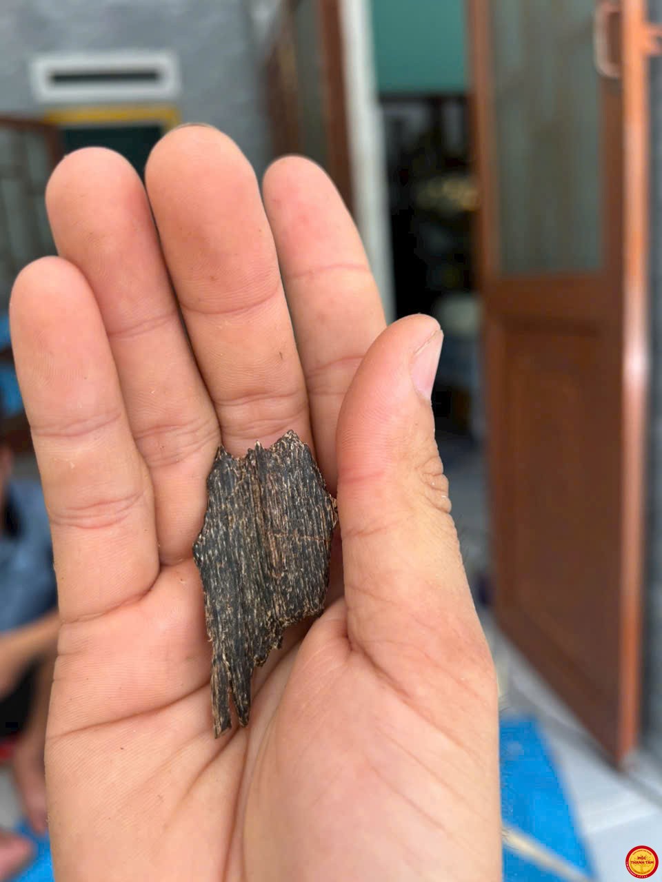 ĐÃ BÁN- BÔNG TỰ PHÁ TRONG GỐC CÂY – HƯƠNG TRẦM TỰ NHIÊN, ĐỘC BẢN ĐẲNG CẤP (HẾT HÀNG)